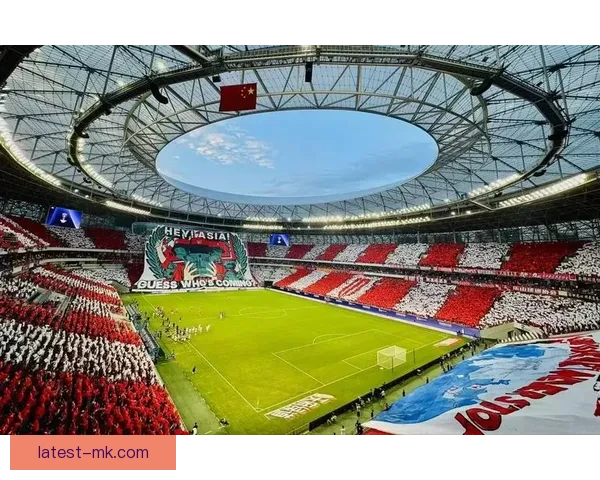 成都蓉城凤凰山主场入选亚足联2026亚洲十大氛围足球场引爆全城 成都蓉城凤凰山主场入选亚足联2026亚洲十大氛围足球场引爆全城